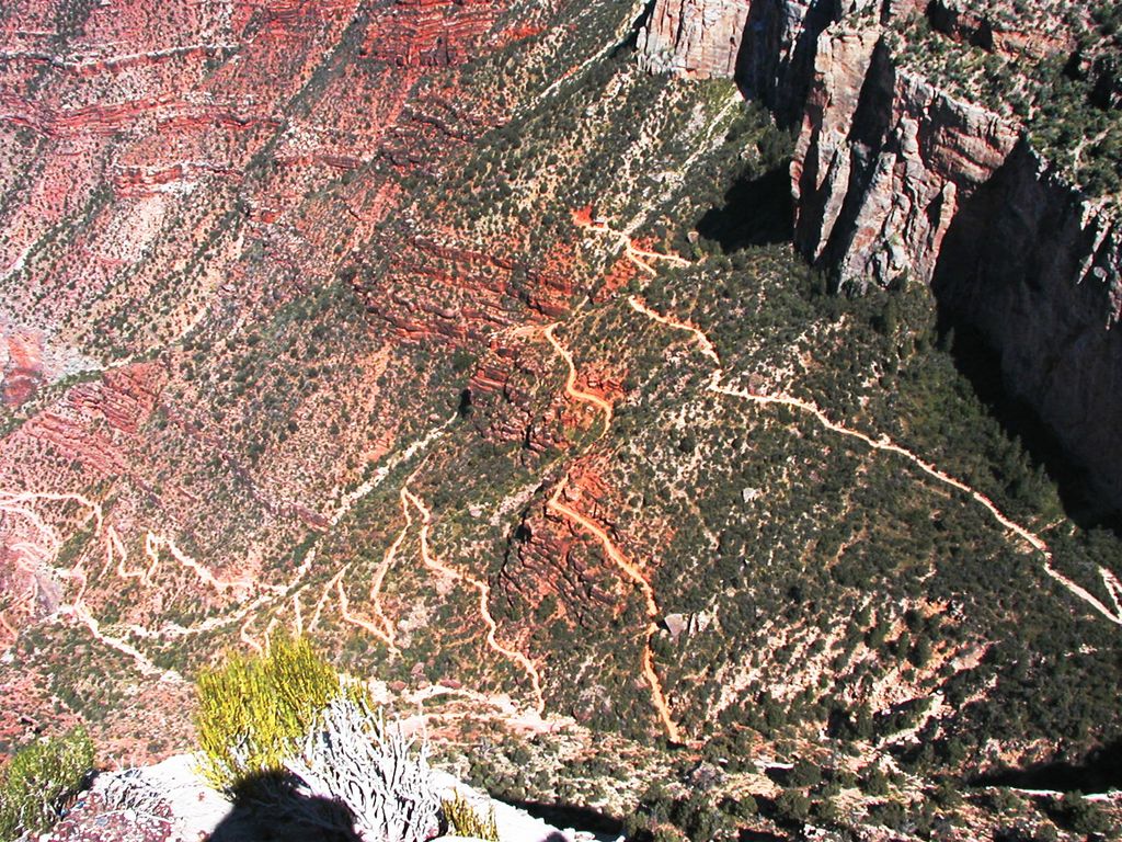 p5252583c_p5252583e.jpg (large)