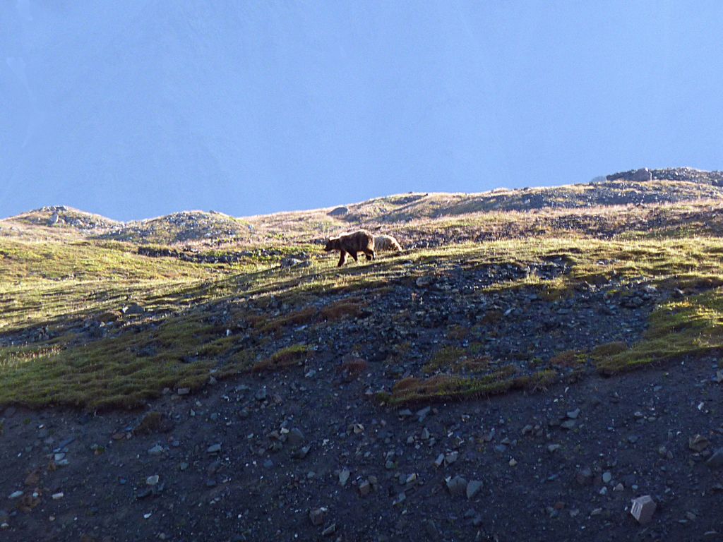p1060390e.jpg (large)