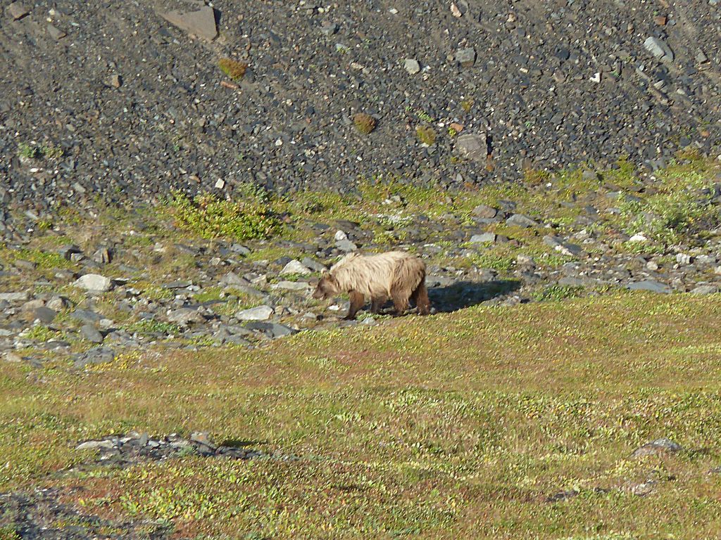 p1060398e.jpg (large)