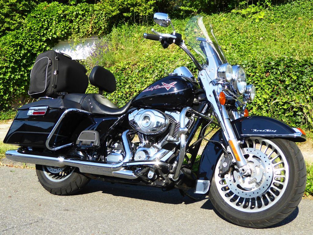 p1050664f.jpg (large)